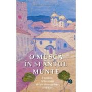 O musca in Sfantul Munte - Vasilis G. Frangopulos