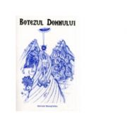 Botezul Domnului, tiparita in culoarea albastra – Euphemia Briere de la librariadelfin.ro imagine 2021