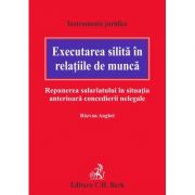 Executarea silita in relatiile de munca. Repunerea salariatului in situatia anterioara concedierii nelegale – Razvan Anghel Anghel