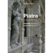 Piatra in patrimoniul romanesc degradari specifice si tratamente adecvate - iulian olteanu