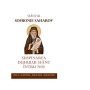 Suspinarea duhului sfant intru noi - arhim. sofronie saharov