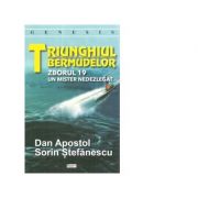 Triunghiul bermudelor. zborul 19. un mister nedezlegat - dan apostol, sorin stefanescu