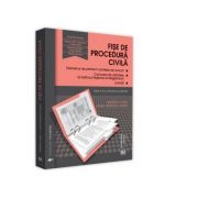 Fise de procedura civila 2020. Editia a VII-a, revizuita si completata - Andreea Ciurea, Ioana Veronica Varga