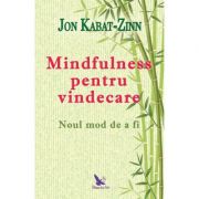 Mindfulness pentru vindecare – Jon Kabat-Zinn Sfaturi Practice. Spiritualitate imagine 2022