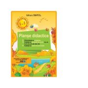 Planse didactice. ortograme, grupuri de litere, semne de punctuatie