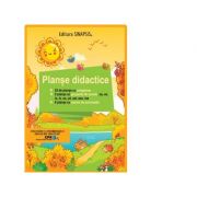 Planse didactice. Ortograme, grupuri de litere, semne de punctuatie