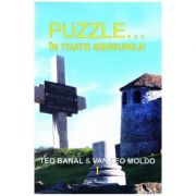 Puzzle… In toate sensurile vol. 1 – Teo Banal, Van Teo Moldo librariadelfin.ro