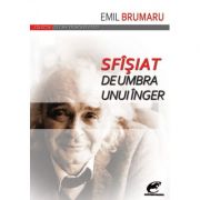Sfîsiat de umbra unui inger - emil brumaru