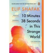 10 minutes 38 seconds in this strange world - elif shafak