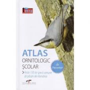 Atlas ornitologic scolar de buzunar. Peste 130 de specii comune de pasari din Romania librariadelfin.ro imagine 2022