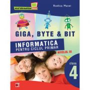 Informatica pentru ciclul primar Nivelul trei clasa a IV-a – Rodica Matei Auxiliare scolare. Auxiliare Clasa a 4-a. Altele Clasa 4 imagine 2022