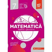 Matematica. Algebra, geometrie. Clasa a 7-a. 2023 Standard – Gheorghe Iurea (algebra imagine 2022