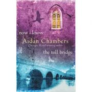 Now I Know & The Toll Bridge - Aidan Chambers