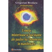 Urmele misterioase si fascinante ale pasilor lui dumnezeu in manifestare - gregorian bivolaru