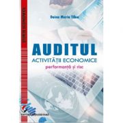 Auditul activitatii economice. performanta si risc - doina maria tilea