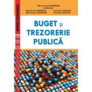 Buget si trezorerie publica - mihai aristotel ungureanu, lucia croitoru, dragos m. ungureanu, dumitru m. nedelescu, anne-marie bartalis
