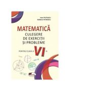 Matematica. Culegere de exercitii si probleme pentru clasa a VI-a - Ioan Pelteacu, Elefterie Petrescu imagine libraria delfin 2021