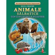 Animale salbatice din tinuturile noastre - silvia ursache