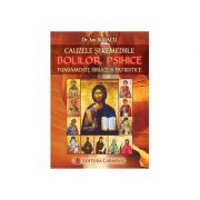 Cauzele si remediile bolilor psihice. Fundamente biblice si patristice - Ion Bulacu