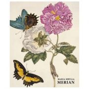 Maria Sibylla Merian – Daniel Kiecol librariadelfin.ro