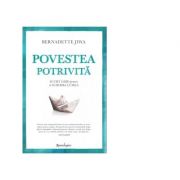 Povestea potrivita. scurt ghid pentru a schimba lumea - bernadette jiwa