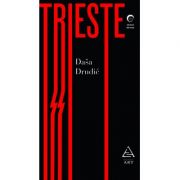 Trieste – Dasa Drndic de la librariadelfin.ro imagine 2021