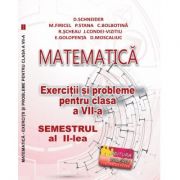 Matematica. Exercitii si probleme clasa a VII-a Semestrul al II-lea - Delia Schneider