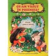 Ce-am vazut in poienita? - l. chiciuc