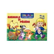 Coloram si invatam engleza animale si pasari