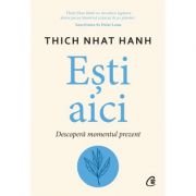 Esti aici. descopera momentul prezent - thich nhat hanh