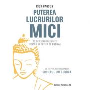 Puterea lucrurilor mici. 52 de exercitii zilnice pentru un creier de buddha - rick hanson
