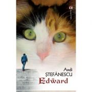 Edward - andi stefanescu