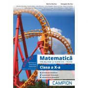 Matematica – Probleme si exercitii, teste pentru clasa a X-a – Marius Burtea librariadelfin.ro