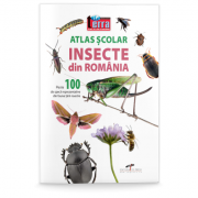 Atlas scolar. Insecte din Romania librariadelfin.ro imagine 2022
