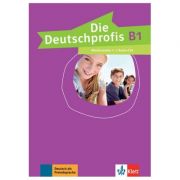 Die Deutschprofis B1. Medienpaket (2 Audio-CDs) – Olga Swerlowa librariadelfin.ro