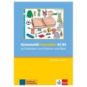 Grammatik interaktiv A1 – B1: 30 Tafelbilder zum Erklaren und Uben CD-Rom – Ralf-Peter Lösche librariadelfin.ro