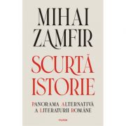 Scurta istorie. panorama alternativa a literaturii romane - mihai zamfir