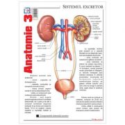 Pliant Anatomie 3 Enciclopedii Dictionare si Atlase. Atlase, Harti de perete si Planse tematice. Atlas anatomie imagine 2022