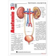 Pliant Anatomie 3