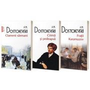 Serie de autor Feodor Dostoievski. Fratii Karamazov, Crima si pedeapsa si Oameni sarmani (set de 3 carti) – Fiodor M. Dostoievski (set imagine 2022