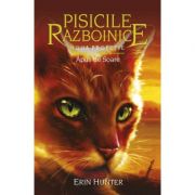 Pisicile Razboinice. Noua profetie. Cartea 12. Apus de Soare - Erin Hunter