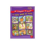 O carte mare de teste 6-7 ani - gheorghe ghetu