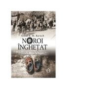 Noroi inghetat. povestea unei evreice din romania in valtoarea holocaustului din transnistria - avital e. m. baruch