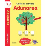 Caiete de activitati. adunarea 5-6 ani (usborne) - usborne books