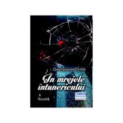 In mrejele intunericului. nuvela - georgiana chirila