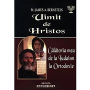Uimit de Hristos – James A. Bernstein librariadelfin.ro