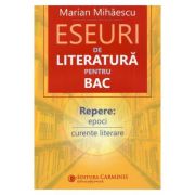 Eseuri de literatura pentru Bacalaureat – Marian Mihaescu librariadelfin.ro imagine 2022