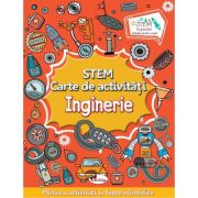 STEM, carte de activitati. Inginerie