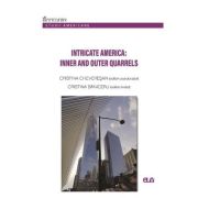 Intricate America: Inner and Outer Quarrels – Cristina Cheveresan, Cristina Baniceru librariadelfin.ro imagine 2022