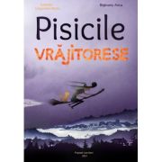 Pisicile Vrajitorese - Maria Ungureanu, Anca Bejinariu